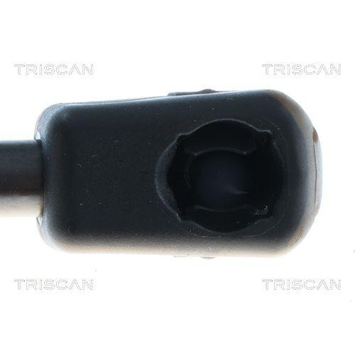 TRISCAN Gasfeder, Koffer-/Laderaum 8710 292081