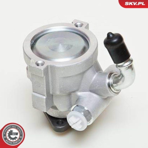 ESEN SKV Hydraulikpumpe, Lenkung 10SKV061