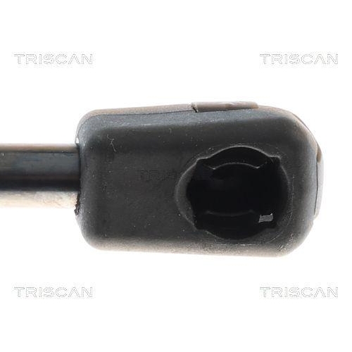 TRISCAN Gasfeder, Koffer-/Laderaum 8710 69229