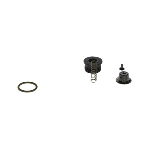 BOSCH Reparatursatz, Common-Rail-System F 00N 203 059