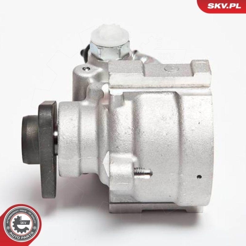 ESEN SKV Hydraulikpumpe, Lenkung 10SKV064