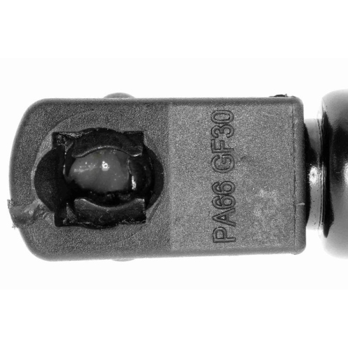 VAICO Gasfeder, Motorhaube Original VAICO Qualit&auml;t V10-1965