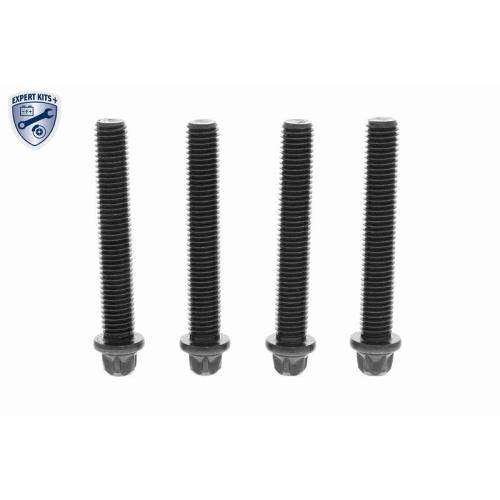 VAICO Riemenscheibe, Kurbelwelle EXPERT KITS + V20-3848