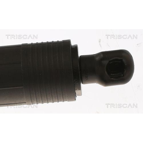 TRISCAN Gasfeder, Koffer-/Laderaum 8710 81205