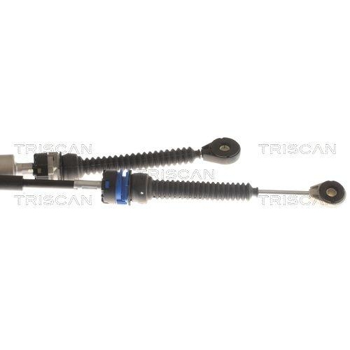TRISCAN Seilzug, Schaltgetriebe 8140 25744