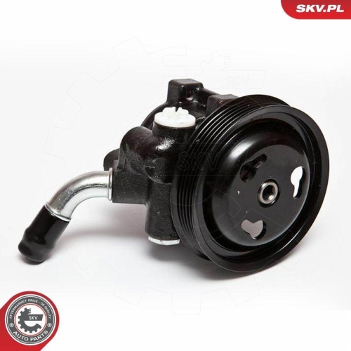 ESEN SKV Hydraulikpumpe, Lenkung 10SKV065