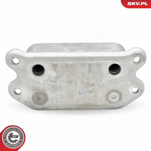 ESEN SKV &Ouml;lk&uuml;hler, Motor&ouml;l 31SKV305