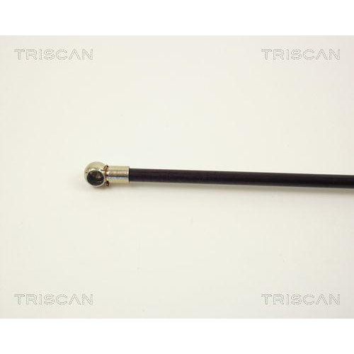 TRISCAN Gasfeder, Koffer-/Laderaum 8710 1001