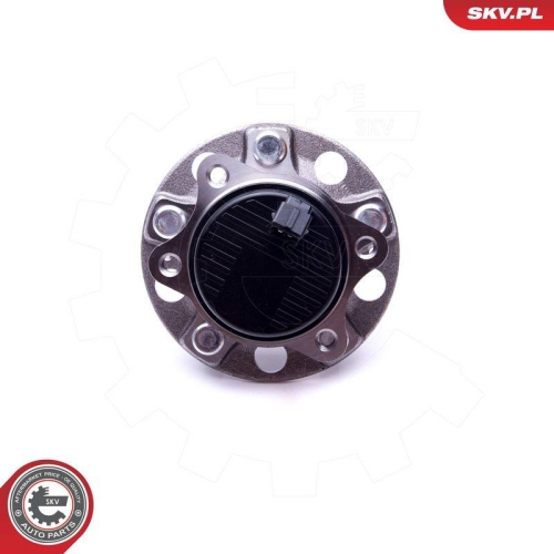 ESEN SKV Radlagersatz 29SKV293