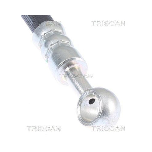 TRISCAN Bremsschlauch 8150 43108