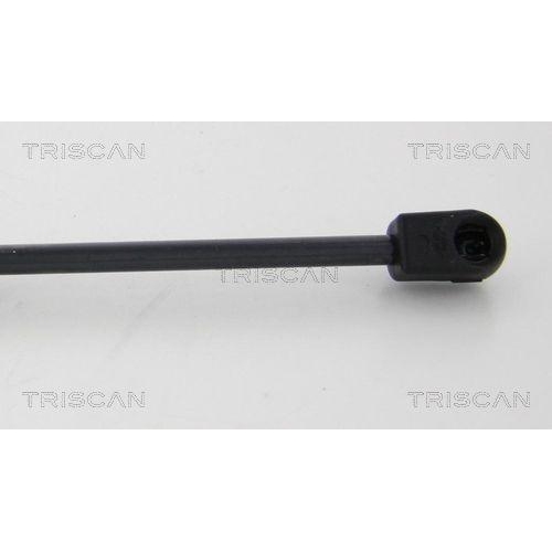 TRISCAN Gasfeder, Koffer-/Laderaum 8710 10216