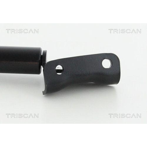TRISCAN Gasfeder, Koffer-/Laderaum 8710 10218