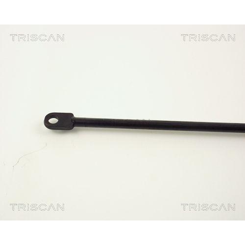 TRISCAN Gasfeder, Koffer-/Laderaum 8710 1107