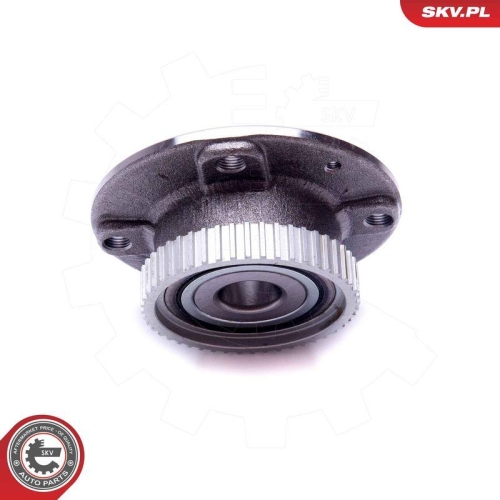 ESEN SKV Radlagersatz 29SKV340