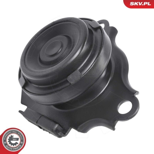 ESEN SKV Lagerung, Motor 75SKV267