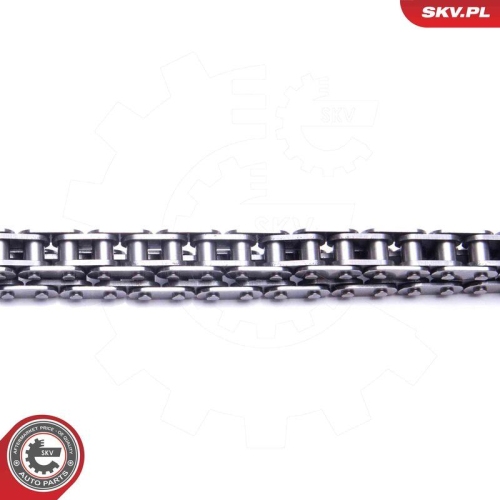 ESEN SKV Steuerkettensatz