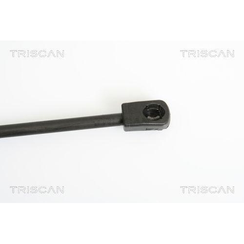 TRISCAN Gasfeder, Koffer-/Laderaum 8710 11226