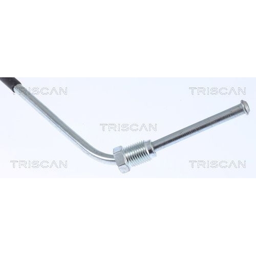 TRISCAN Bremsschlauch 8150 25234
