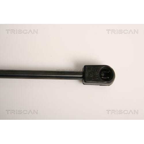 TRISCAN Gasfeder, Koffer-/Laderaum 8710 11232