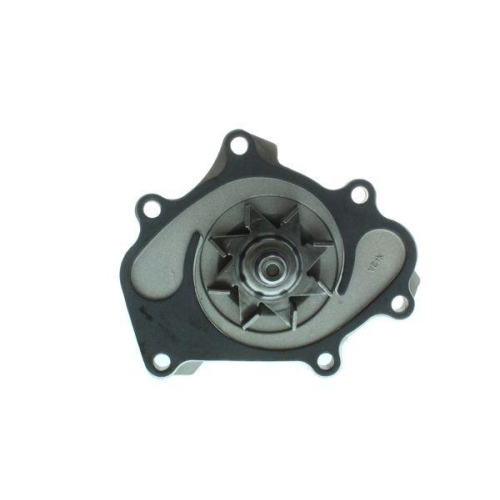 AISIN Wasserpumpe, Motork&uuml;hlung WPN-705
