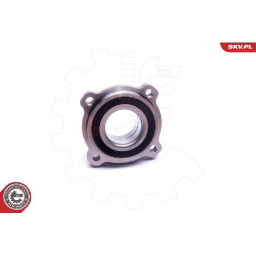 ESEN SKV Radlagersatz