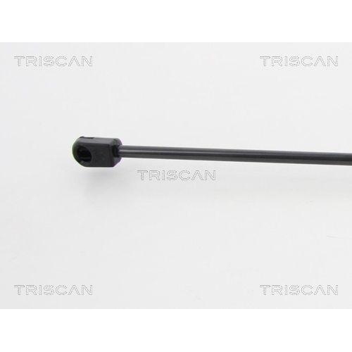 TRISCAN Gasfeder, Koffer-/Laderaum 8710 11237