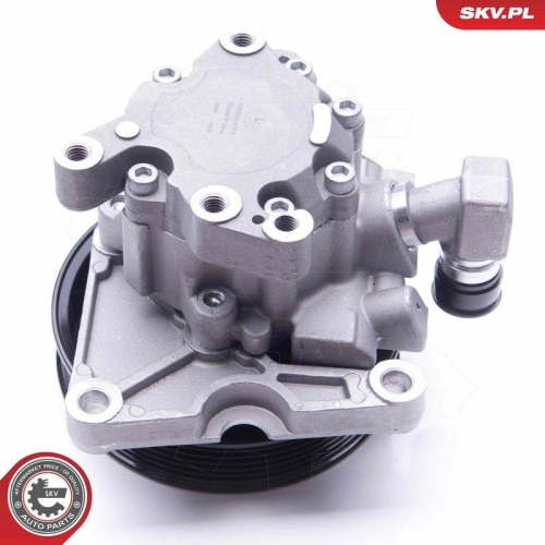 ESEN SKV Hydraulikpumpe, Lenkung 10SKV124