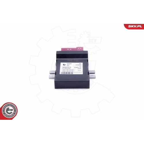 ESEN SKV Steuergerät, Kraftstoffpumpe