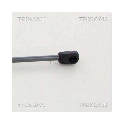 TRISCAN Gasfeder, Koffer-/Laderaum 8710 11247