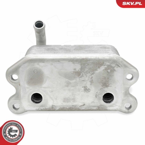 ESEN SKV &Ouml;lk&uuml;hler, Motor&ouml;l 31SKV336