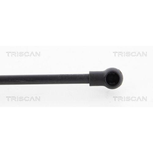 TRISCAN Gasfeder, Koffer-/Laderaum 8710 12219