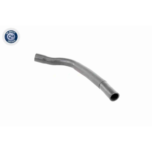 VAICO K&uuml;hlerschlauch Q+, Erstausr&uuml;sterqualit&auml;t V20-3333