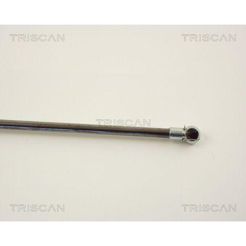 TRISCAN Gasfeder, Koffer-/Laderaum 8710 13251