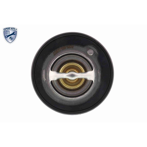 ACKOJA Thermostat, K&uuml;hlmittel EXPERT KITS + A26-99-0007
