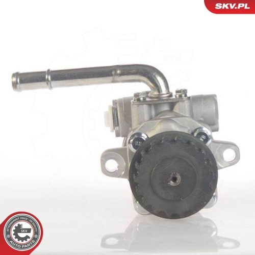 ESEN SKV Hydraulikpumpe, Lenkung 10SKV131