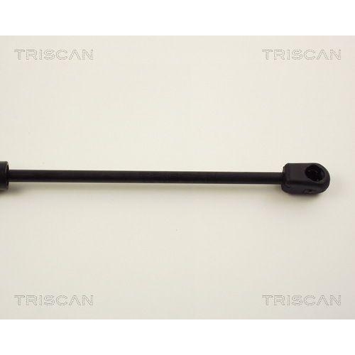 TRISCAN Gasfeder, Koffer-/Laderaum 8710 13258