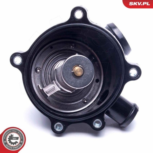 ESEN SKV Thermostat, K&uuml;hlmittel 20SKV179