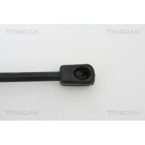 TRISCAN Gasfeder, Koffer-/Laderaum 8710 13270