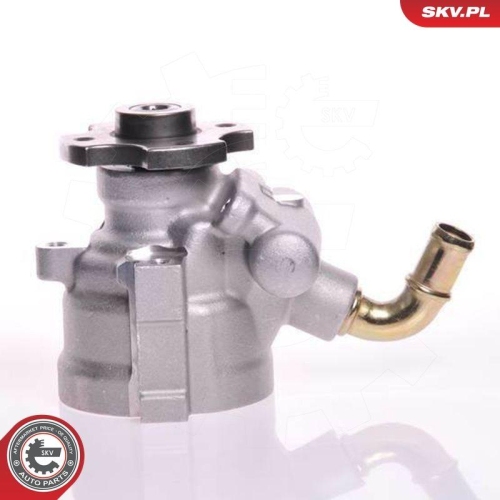 ESEN SKV Hydraulikpumpe, Lenkung 10SKV133