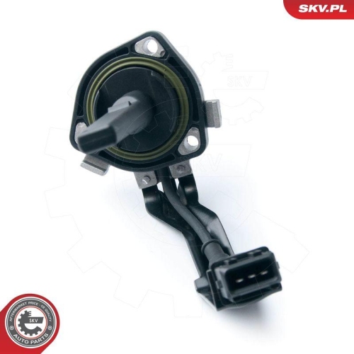 ESEN SKV Sensor, Motor&ouml;lstand 17SKV312