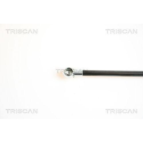 TRISCAN Gasfeder, Koffer-/Laderaum 8710 14234
