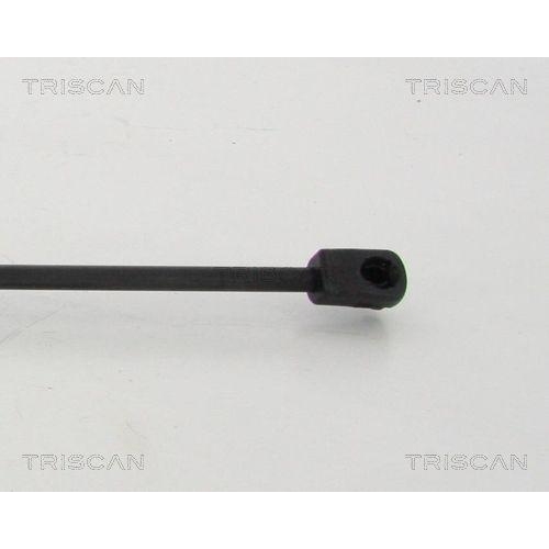 TRISCAN Gasfeder, Koffer-/Laderaum 8710 14247