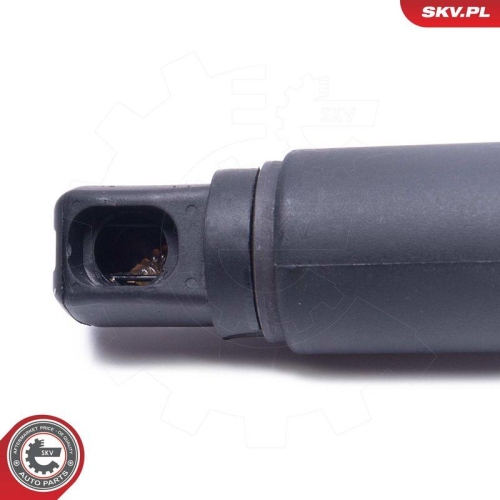 ESEN SKV Elektromotor, Heckklappe 52SKV957