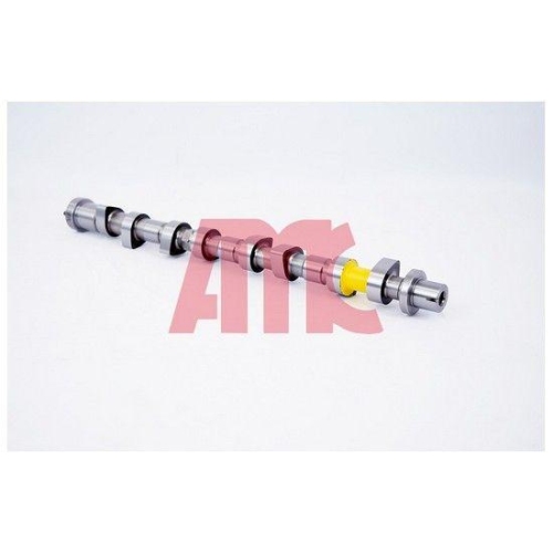 AMC Nockenwelle 647263