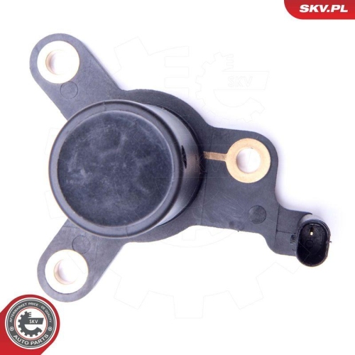 ESEN SKV Sensor, Motor&ouml;lstand 17SKV397