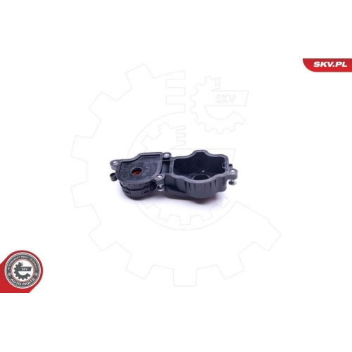 ESEN SKV Ventil, Kurbelgehäuseentlüftung 31SKV069