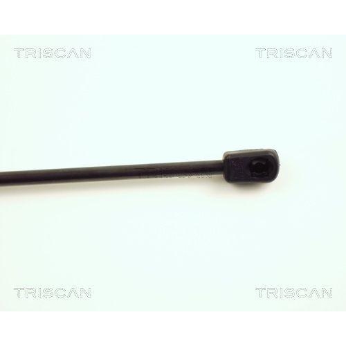 TRISCAN Gasfeder, Koffer-/Laderaum 8710 15225