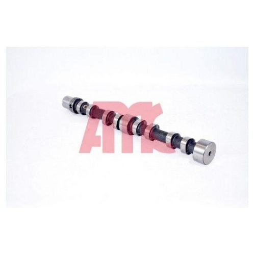 AMC Nockenwelle 647274