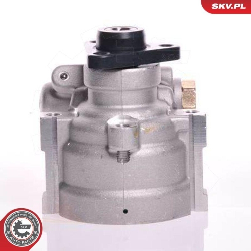 ESEN SKV Hydraulikpumpe, Lenkung 10SKV141