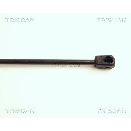 TRISCAN Gasfeder, Koffer-/Laderaum 8710 16236